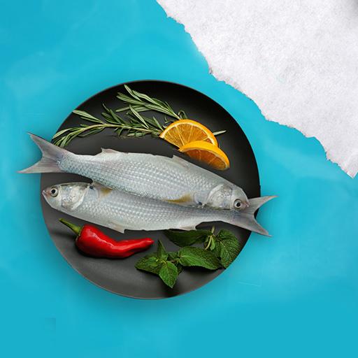 Kerala grey Mullet 