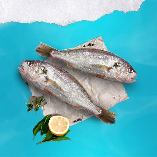 Kerala Carp (Nadan)